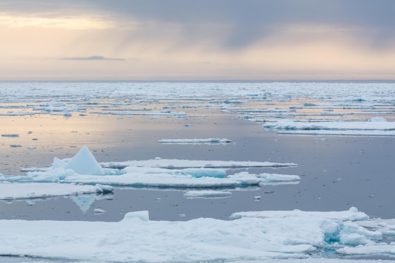 PLA03-25, Day 5, _DSC0870 © Unknown photographer - Oceanwide Expeditions.jpg