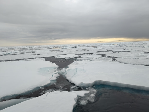 PLA03-25, Day 5, IMG_20250614_080602 © Michelle van Dijk - Oceanwide Expeditions.jpg