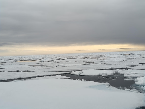 PLA03-25, Day 5, IMG_20250614_080609 © Michelle van Dijk - Oceanwide Expeditions.jpg