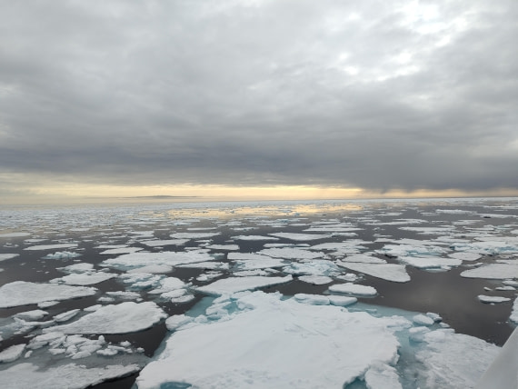 PLA03-25, Day 5, IMG_20250614_082713 © Michelle van Dijk - Oceanwide Expeditions.jpg