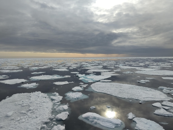 PLA03-25, Day 5, IMG_20250614_085558 © Michelle van Dijk - Oceanwide Expeditions.jpg