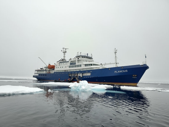 PLA03-25, Day 5, IMG_20250614_143858 © Michelle van Dijk - Oceanwide Expeditions.jpg