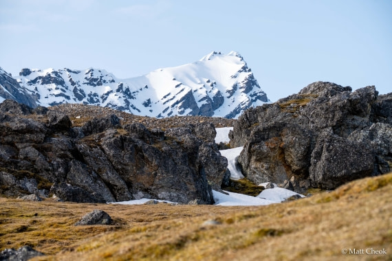 OTL03-25, Day 7(1) © Matt Cheok - Oceanwide Expeditions.jpg