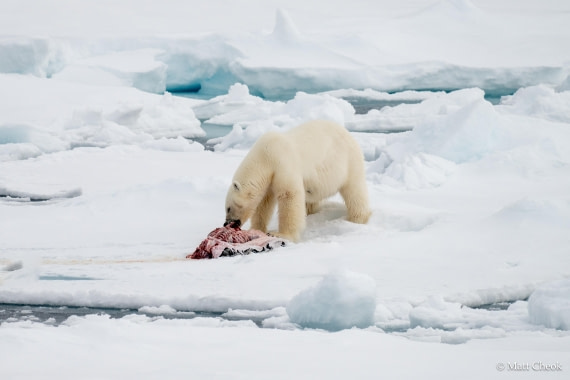 OTL03-25, Day 4 (1) © Matt Cheok - Oceanwide Expeditions.jpg