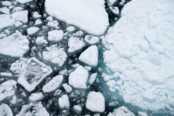 OTL03-25, Day 4 (2) © Matt Cheok - Oceanwide Expeditions.jpg