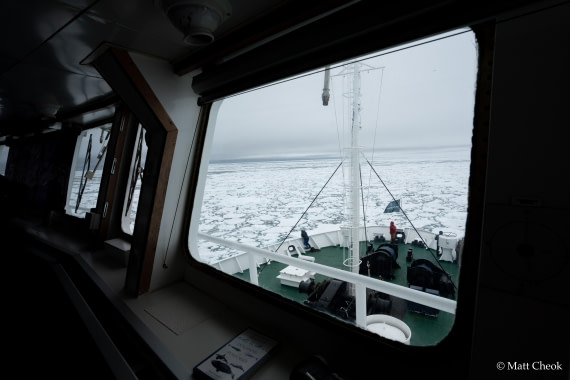 OTL03-25, Day 5 (2) © Matt Cheok - Oceanwide Expeditions.jpg