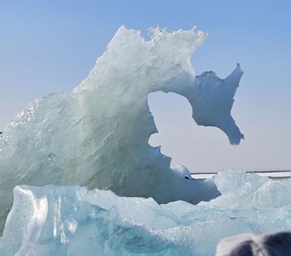 Arctic Seahorse