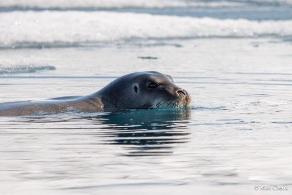 OTL04-25, Day 2, Matt Cheok, Raudfjorden(4) © Matthew Cheok - Oceanwide Expeditions.jpg