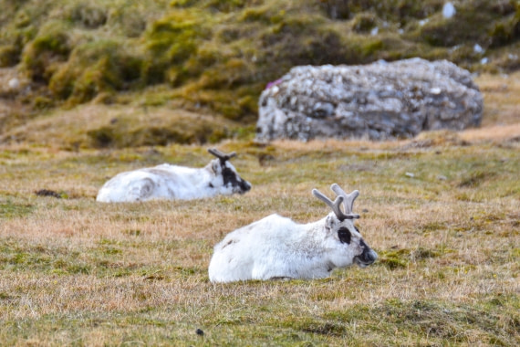 OTL04-25, Day 7, _DSC0972 © Unknown photographer - Oceanwide Expeditions.jpg