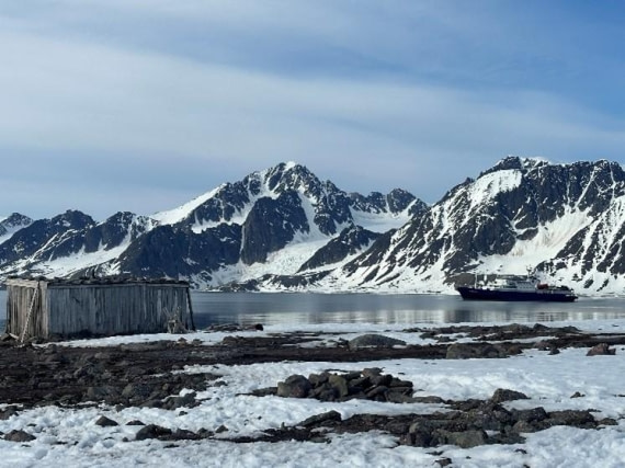 PLA05-25, Day 6, Alicehamna © Unknown photographer - Oceanwide Expeditions.jpg