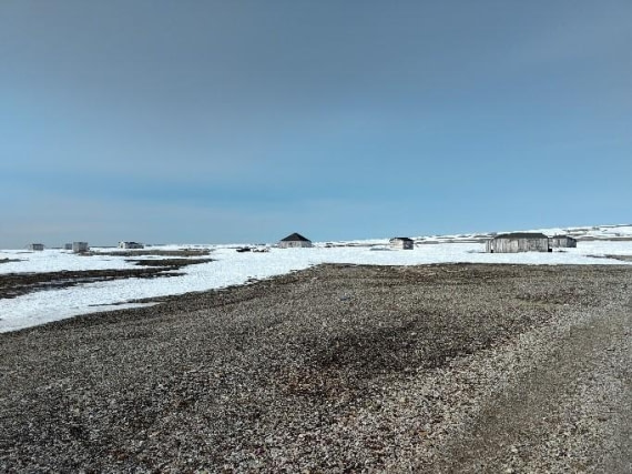 PLA05-25, Day 4, Kinnvika 2 © Unknown photographer - Oceanwide Expeditions.jpg