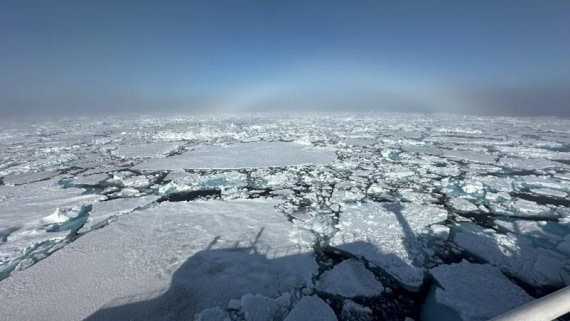 PLA05-25, Day 5, Pack ice © Unknown photographer - Oceanwide Expeditions.jpg