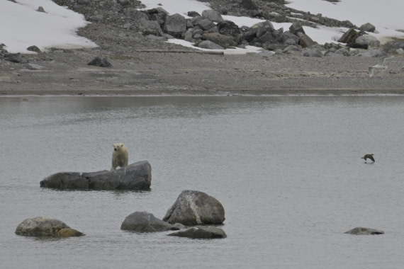 HDS04-25, Day 2, _DSC2949 © Philipp Konietzko - Oceanwide Expeditions.jpg