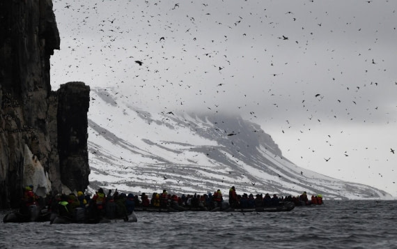 HDS04-25, Day 4, Alkefjellet © Unknown photographer - Oceanwide Expeditions.jpg