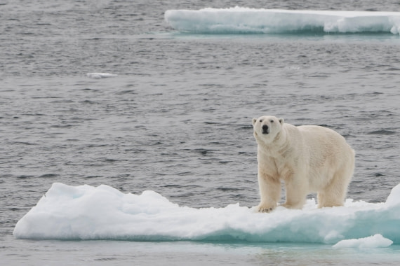 Vlissingen - Longyearbyen (60) © Frank Maes - Oceanwide Expeditions.JPG