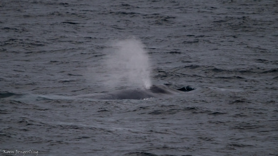 OTL05-25, Day 1, IMG_8932 © Koen Jongerling - Oceanwide Expeditions.jpg