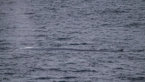 OTL05-25, Day 1, IMG_8943 © Koen Jongerling - Oceanwide Expeditions.jpg