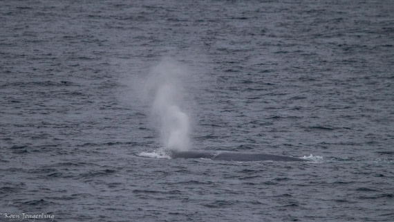 OTL05-25, Day 1, IMG_8944 © Koen Jongerling - Oceanwide Expeditions.jpg