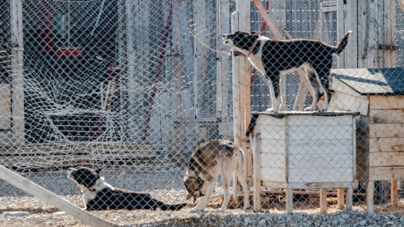 OTL05-25, Day 2, IMG_9004 © Koen Jongerling - Oceanwide Expeditions.jpg