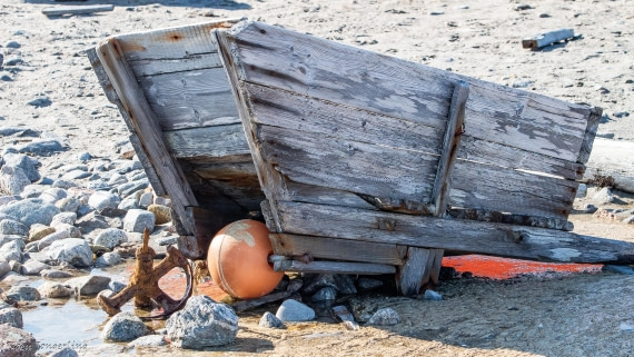 OTL05-25, Day 3, IMG_9147 © Koen Jongerling - Oceanwide Expeditions.jpg