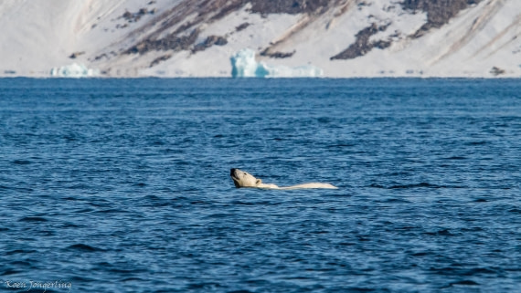 OTL05-25, Day 3, IMG_9150 © Koen Jongerling - Oceanwide Expeditions.jpg