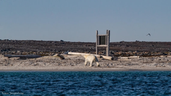 OTL05-25, Day 3, IMG_9156 © Koen Jongerling - Oceanwide Expeditions.jpg