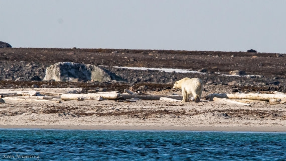 OTL05-25, Day 3, IMG_9164 © Koen Jongerling - Oceanwide Expeditions.jpg