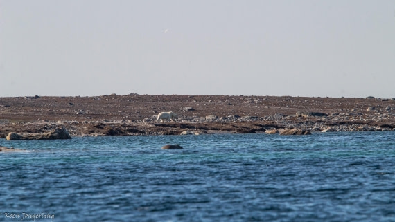 OTL05-25, Day 3, IMG_9174 © Koen Jongerling - Oceanwide Expeditions.jpg