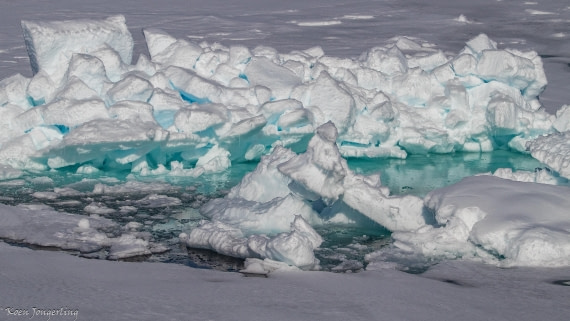 OTL05-25, Day 4, IMG_9214 © Koen Jongerling - Oceanwide Expeditions.jpg