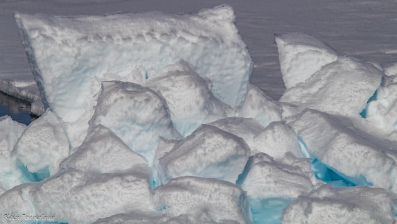 OTL05-25, Day 4, IMG_9217 © Koen Jongerling - Oceanwide Expeditions.jpg