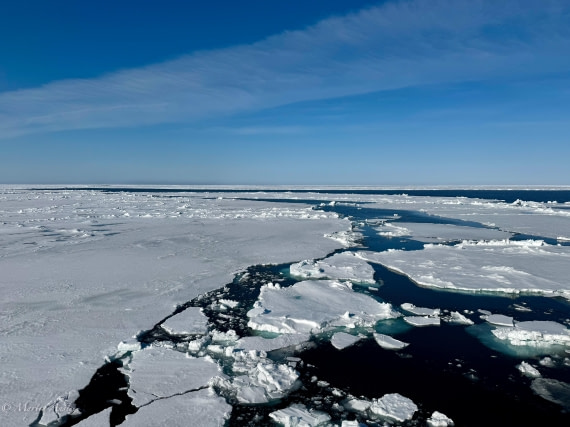 OTL05-25, Day 4, Scene 3 © Martin Anstee - Oceanwide Expeditions.jpg