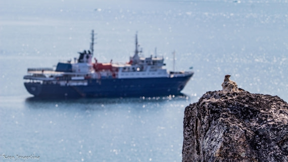 OTL05-25, Day 5, IMG_9276 © Koen Jongerling - Oceanwide Expeditions.jpg