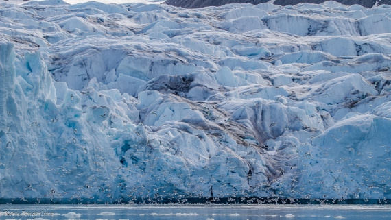 OTL05-25, Day 5, IMG_9316 © Koen Jongerling - Oceanwide Expeditions.jpg