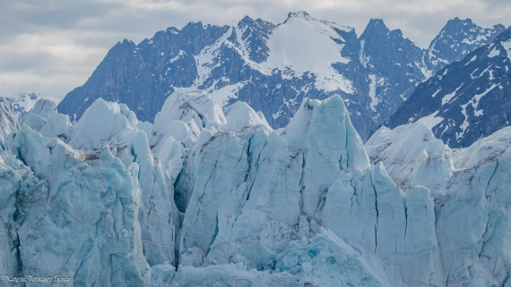 OTL05-25, Day 5, IMG_9352 © Koen Jongerling - Oceanwide Expeditions.jpg