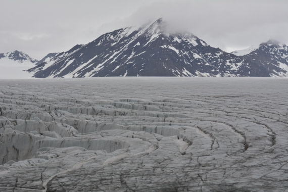 OTL05-25, Day 7, _DSC1028 © Unknown photographer - Oceanwide Expeditions.JPG