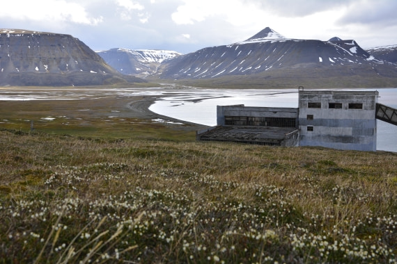 OTL05-25, Day 7, _DSC1044 © Unknown photographer - Oceanwide Expeditions.JPG