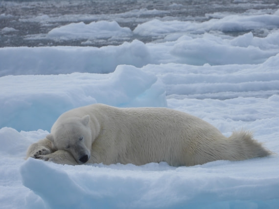 Dreaming of my next trip with Oceanwide