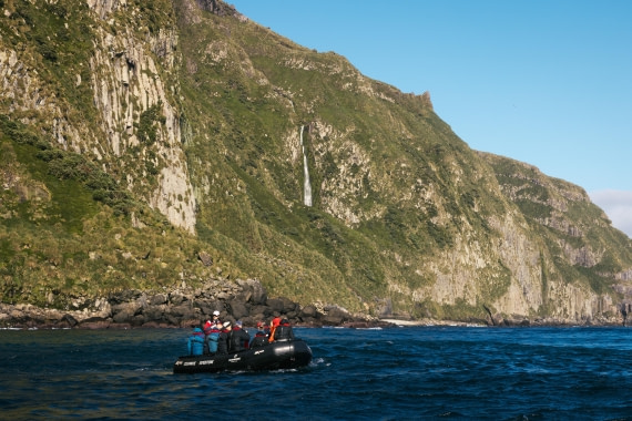 Gough Island, MG_4809 © Augusto Gomes © Oceanwide Expeditions.jpg