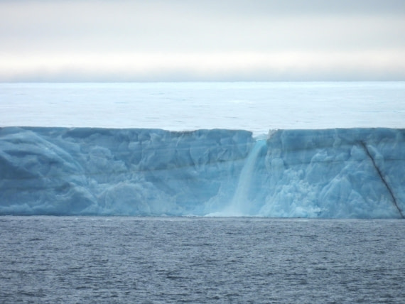 HDS05-25, Day 6, brasvellbreen © Unknown photographer - Oceanwide Expeditions.JPG
