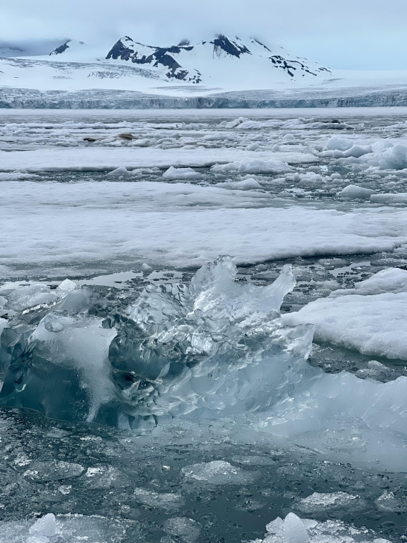 HDS05-25, Day 9, samarinvagen2 © Unknown photographer - Oceanwide Expeditions.JPG