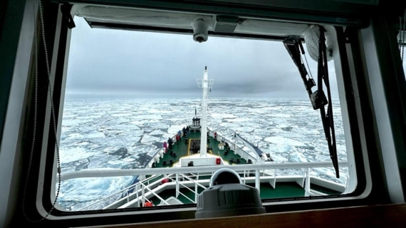 PLA06-25, Day 5, Pack ice © Unknown photographer - Oceanwide Expeditions.jpg