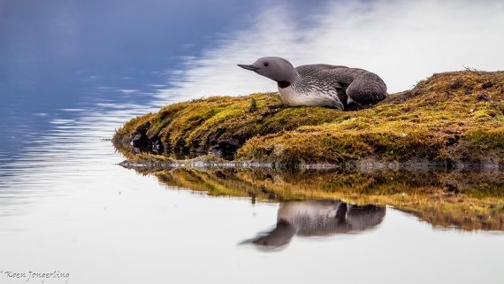 OTL06-25, Day 2, IMG_9448 © Koen Jongerling - Oceanwide Expeditions.jpg