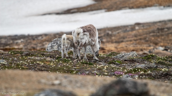 OTL06-25, Day 2, IMG_9450 © Koen Jongerling - Oceanwide Expeditions.jpg