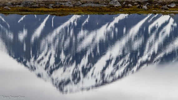 OTL06-25, Day 2, IMG_9487 © Koen Jongerling - Oceanwide Expeditions.jpg