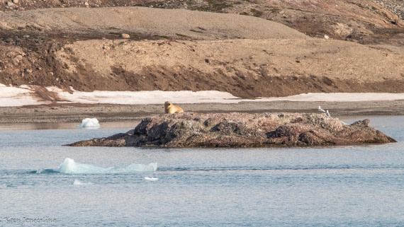 OTL06-25, Day 3, IMG_9538 © Koen Jongerling - Oceanwide Expeditions.jpg