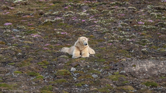 OTL06-25, Day 3, IMG_9555 © Koen Jongerling - Oceanwide Expeditions.jpg