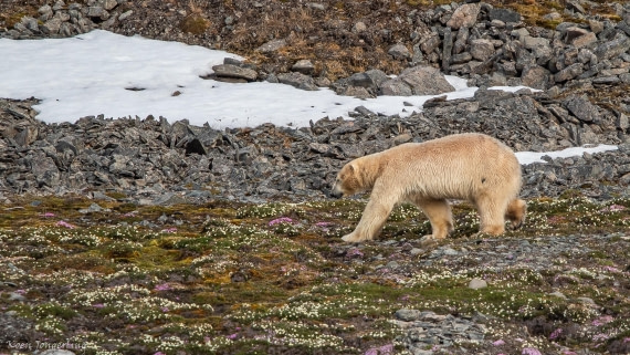 OTL06-25, Day 3, IMG_9558 © Koen Jongerling - Oceanwide Expeditions.jpg