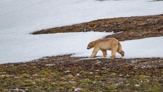 OTL06-25, Day 3, IMG_9561 © Koen Jongerling - Oceanwide Expeditions.jpg