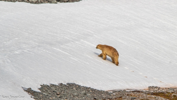 OTL06-25, Day 3, IMG_9569 © Koen Jongerling - Oceanwide Expeditions.jpg