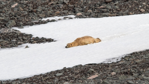 OTL06-25, Day 3, IMG_9573 © Koen Jongerling - Oceanwide Expeditions.jpg